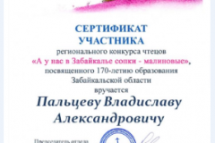 Пальцев-Влад.-сертификат-участника